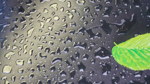 Raised spot gloss UV coating showing dimensional water droplet effect